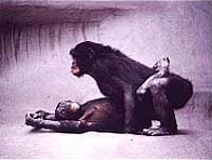 Whack my bonobo!!!!!