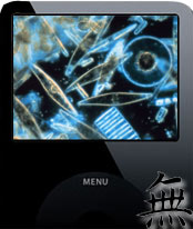 Introducing te new Zooplankton-Video-iPod!