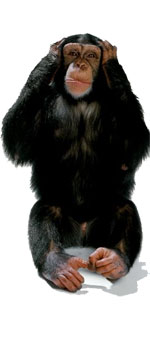 Monkey Hear, Monkey Do