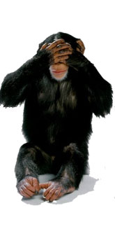 Monkey See, Monkey Do