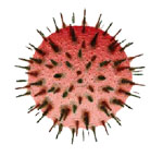 Parasitising