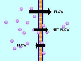 ABSORBORATION! A revolution in cultural osmosis...